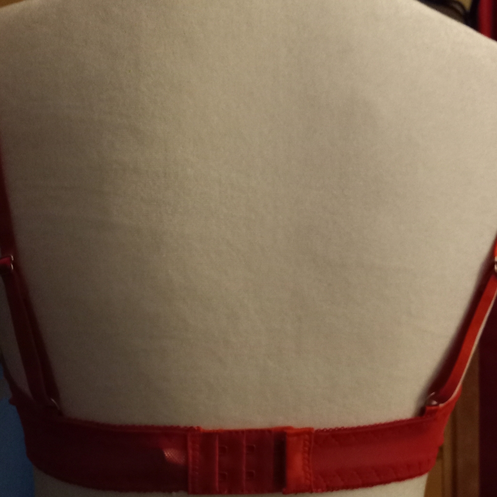 New,red sheer mesh cherries  embroidered underwire bra & thong lingerie size med - Picture 7 of 13